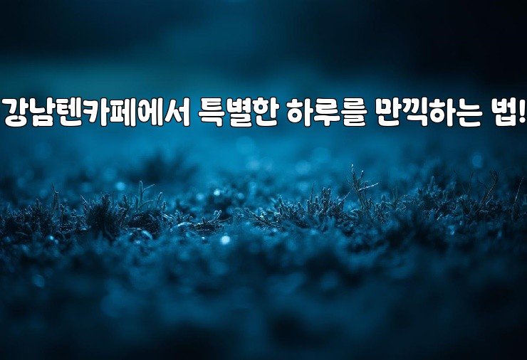 강남텐카페에서 특별한 하루를 만끽하는 법!