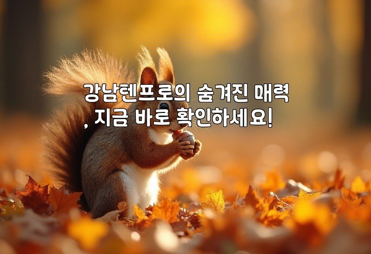 강남텐프로의 숨겨진 매력, 지금 바로 확인하세요!