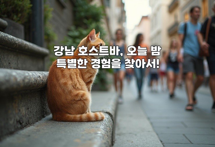 강남 호스트바, 오늘 밤 특별한 경험을 찾아서!