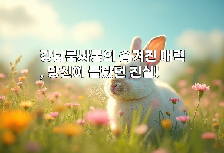 강남룸싸롱의 숨겨진 매력, 당신이 몰랐던 진실!