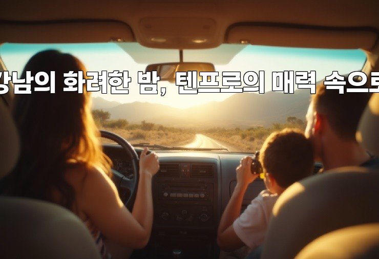 강남의 화려한 밤, 텐프로의 매력 속으로