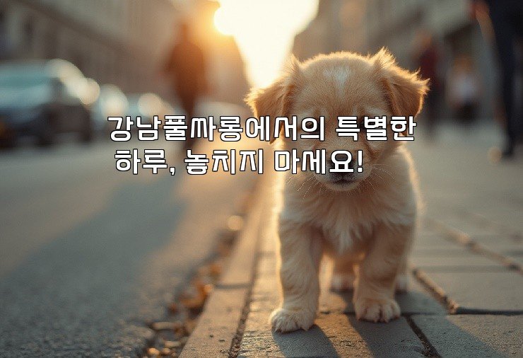 강남풀싸롱에서의 특별한 하루, 놓치지 마세요!