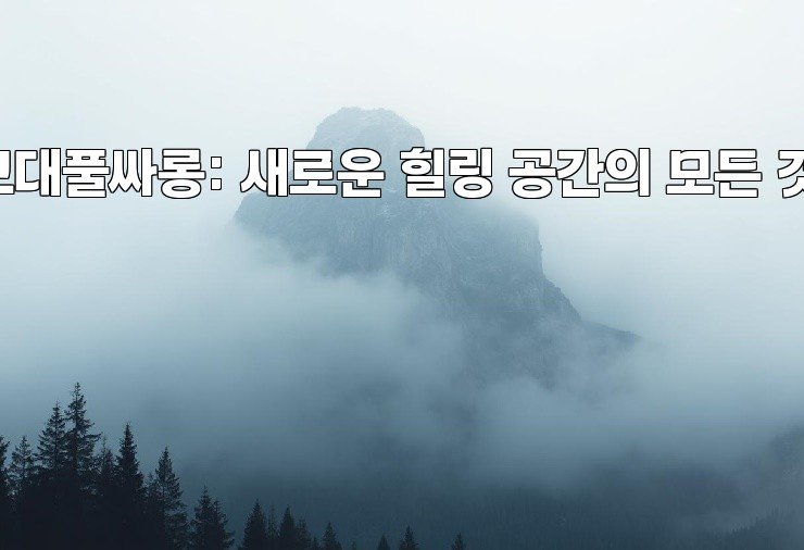 교대풀싸롱: 새로운 힐링 공간의 모든 것!